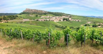 Vignobles macon pouilly fuissé